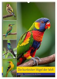 Die buntesten Vögel der Welt (Wandkalender 2026 DIN A2 hoch), CALVENDO Monatskalender