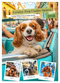 Cavalier King Charles Spaniel - Lustige Weltenreise im Selfie-Modus (Wandkalender 2026 DIN A4 hoch), CALVENDO Monatskalender
