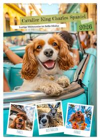 Cavalier King Charles Spaniel - Lustige Weltenreise im Selfie-Modus (Wandkalender 2026 DIN A2 hoch), CALVENDO Monatskalender