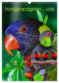 Honigpapageien - Loris (Wandkalender 2026 DIN A3 hoch), CALVENDO Monatskalender