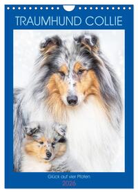 Traumhund Collie - Glück auf vier Pfoten (Wandkalender 2026 DIN A4 hoch), CALVENDO Monatskalender