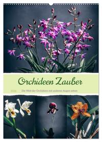 Orchideen Zauber (Wandkalender 2026 DIN A2 hoch), CALVENDO Monatskalender