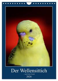 Der Wellensittich - mein bester Freund (Wandkalender 2026 DIN A4 hoch), CALVENDO Monatskalender