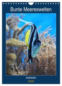Bunte Meereswelten (Wandkalender 2026 DIN A4 hoch), CALVENDO Monatskalender