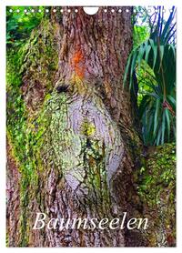 Baumseelen (Wandkalender 2026 DIN A4 hoch), CALVENDO Monatskalender