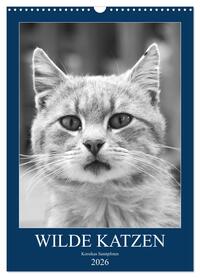 Wilde Katzen - Korsikas Samtpfoten (Wandkalender 2026 DIN A3 hoch), CALVENDO Monatskalender