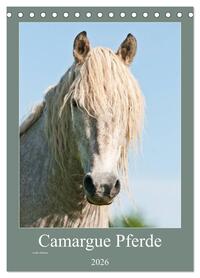 Camargue Pferde - weiße Mähnen (Tischkalender 2026 DIN A5 hoch), CALVENDO Monatskalender