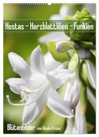 Hostas Herzblattlilien Funkien (Wandkalender 2026 DIN A2 hoch), CALVENDO Monatskalender