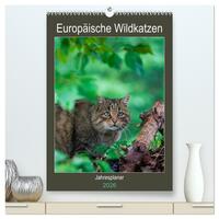 Europäische Wildkatzen - Jahresplaner (hochwertiger Premium Wandkalender 2026 DIN A2 hoch), Kunstdruck in Hochglanz