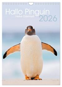 Hallo Pinguin (Wandkalender 2026 DIN A4 hoch), CALVENDO Monatskalender
