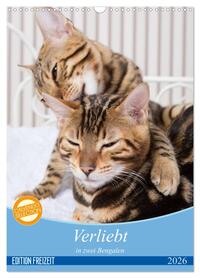 Verliebt in zwei Bengalen (Wandkalender 2026 DIN A3 hoch), CALVENDO Monatskalender