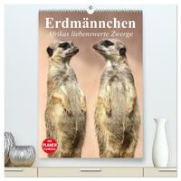 Erdmännchen - Afrikas liebenswerte Zwerge (hochwertiger Premium Wandkalender 2026 DIN A2 hoch), Kunstdruck in Hochglanz