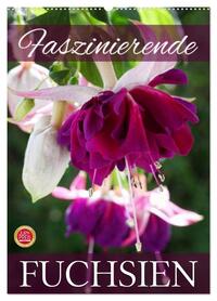 Faszinierende Fuchsien (Wandkalender 2026 DIN A2 hoch), CALVENDO Monatskalender