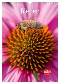 Bienenplaner (Wandkalender 2026 DIN A3 hoch), CALVENDO Monatskalender
