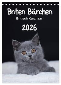 Briten Bärchen – Britisch Kurzhaar 2026 (Tischkalender 2026 DIN A5 hoch), CALVENDO Monatskalender