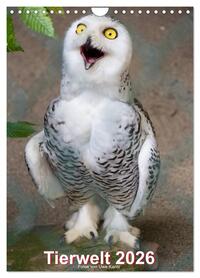 Tiere (Wandkalender 2026 DIN A4 hoch), CALVENDO Monatskalender