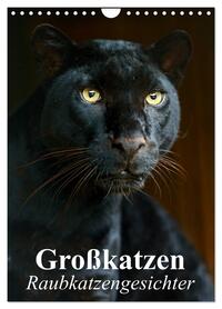Großkatzen. Raubkatzengesichter (Wandkalender 2026 DIN A4 hoch), CALVENDO Monatskalender