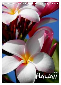 Hawaii (Wandkalender 2026 DIN A4 hoch), CALVENDO Monatskalender