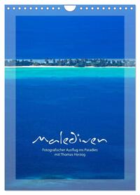 M A L E D I V E N (Wandkalender 2026 DIN A4 hoch), CALVENDO Monatskalender