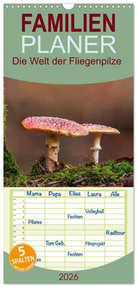 Familienplaner 2026 - Die Welt der Fliegenpilze mit 5 Spalten (Wandkalender, 21 x 45 cm) CALVENDO