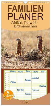 Familienplaner 2026 - Afrikas Tierwelt - Erdmännchen mit 5 Spalten (Wandkalender, 21 x 45 cm) CALVENDO