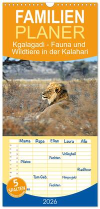 Familienplaner 2026 - Kgalagadi - Fauna und Wildtiere in der Kalahari mit 5 Spalten (Wandkalender, 21 x 45 cm) CALVENDO