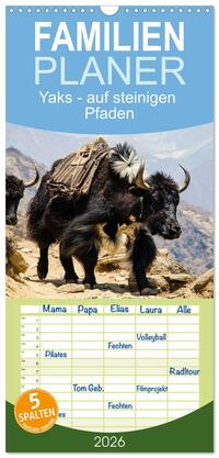 Familienplaner 2026 - Yaks - auf steinigen Pfaden mit 5 Spalten (Wandkalender, 21 x 45 cm) CALVENDO