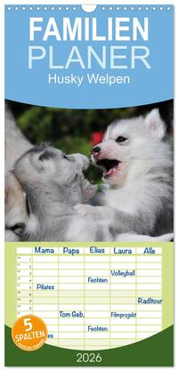 Familienplaner 2026 - Husky Welpen mit 5 Spalten (Wandkalender, 21 x 45 cm) CALVENDO