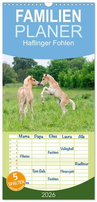 Familienplaner 2026 - Haflinger Fohlen mit 5 Spalten (Wandkalender, 21 x 45 cm) CALVENDO