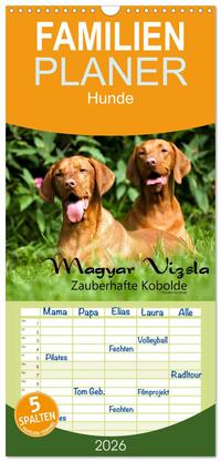 Familienplaner 2026 - Magyar Vizsla - Zauberhafte Kobolde mit 5 Spalten (Wandkalender, 21 x 45 cm) CALVENDO