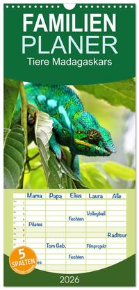 Familienplaner 2026 - Tiere Madagaskars mit 5 Spalten (Wandkalender, 21 x 45 cm) CALVENDO