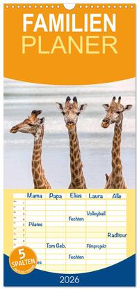 Familienplaner 2026 - Afrikas Tierwelt: Giraffen mit 5 Spalten (Wandkalender, 21 x 45 cm) CALVENDO