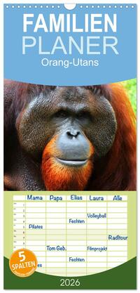 Familienplaner 2026 - Orang-Utans mit 5 Spalten (Wandkalender, 21 x 45 cm) CALVENDO