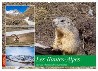 Les Hautes-Alpes sur les chemins des marmottes (Calendrier mural 2026 DIN A2 vertical), CALVENDO calendrier mensuel