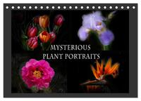 Mysterious plant portraits (Desk Calendar 2026 DIN A5 landscape), CALVENDO 12 Month DeskCalendar