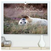 Grey Seal Pups of Donna Nook (High Quality Premium Wall Calendar 2026 DIN A2 landscape),CALVENDO 12 Month Wall Calendar