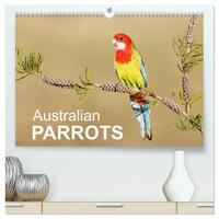 Australian Parrots (High Quality Premium Wall Calendar 2026 DIN A2 landscape),CALVENDO 12 Month Wall Calendar