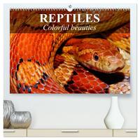 Reptiles Colorful beauties (High Quality Premium Wall Calendar 2026 DIN A2 landscape),CALVENDO 12 Month Wall Calendar