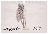 Whippets 2026 (Wall Calendar 2026 DIN A4 landscape), CALVENDO 12 Month Wall Calendar
