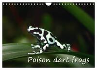 Poison dart frogs / UK-Version / Birthday Calendar (Wall Calendar 2026 DIN A4 landscape), CALVENDO 12 Month Wall Calendar