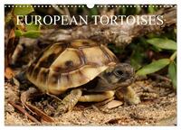 European Tortoises / UK-Version (Wall Calendar 2026 DIN A3 landscape), CALVENDO 12 Month Wall Calendar