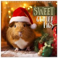 Sweet GUINEA PIGS (Wall Calendar 2026 12 × 12 Inch) CALVENDO 12 Month Wall Calendar