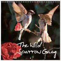 The Wild Sparrow Gang (Wall Calendar 2026 12 × 12 Inch) CALVENDO 12 Month Wall Calendar