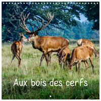 Aux bois des cerfs (Calendrier mural carré 2026 30x30 cm) Calendrier double avec une page pour vos prises de notes