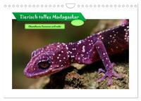 Tierisch tolles Madagaskar - Chamäleons, Lemuren und mehr (Wandkalender 2026 DIN A4 quer), CALVENDO Monatskalender