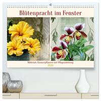Blütenpracht am Fenster (hochwertiger Premium Wandkalender 2026 DIN A2 quer), Kunstdruck in Hochglanz