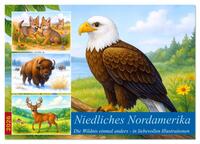 Niedliches Nordamerika (Wandkalender 2026 DIN A3 quer), CALVENDO Monatskalender