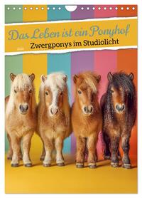Das Leben ist ein Ponyhof - Zwergponys im Studiolicht (Wandkalender 2026 DIN A4 hoch), CALVENDO Monatskalender