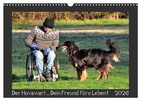 Der Hovawart... Dein Freund fürs Leben ! (Wandkalender 2026 DIN A3 quer), CALVENDO Monatskalender