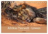 Afrikas Tierwelt - Löwen (Tischkalender 2026 DIN A5 quer), CALVENDO Monatskalender